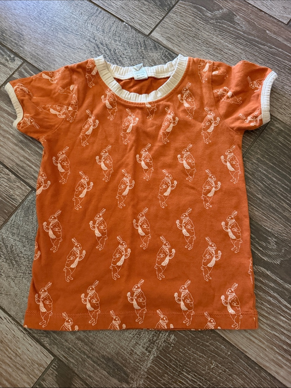 Kate Quinn alive in wonderland rabbit tee 4t